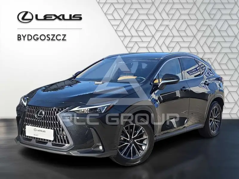 2024 Lexus NX
