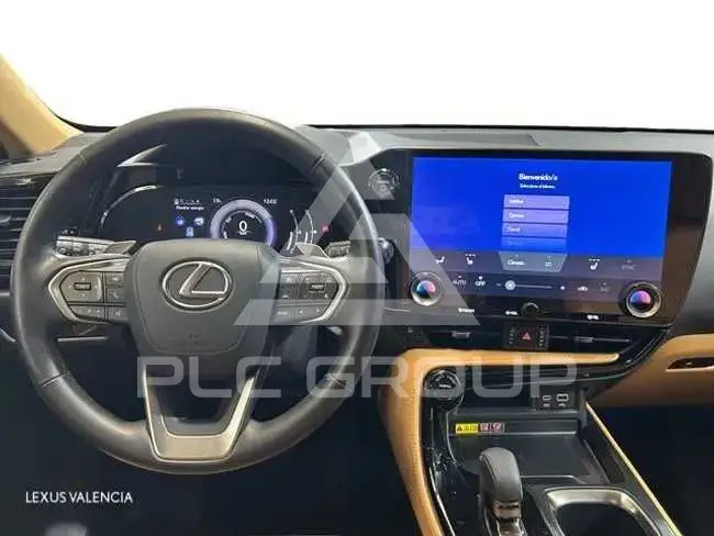 2024 Lexus NX