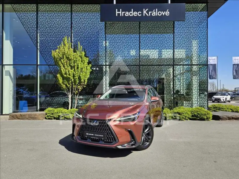 2024 Lexus NX