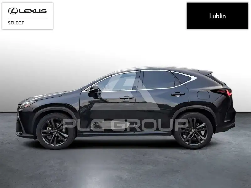 2024 Lexus NX