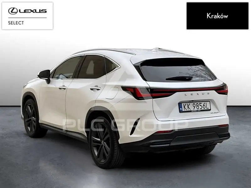 2024 Lexus NX