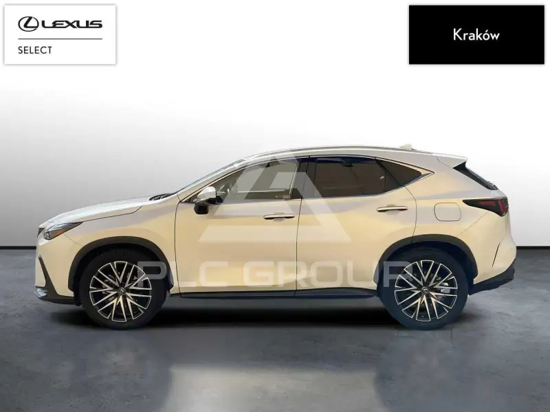 2024 Lexus NX