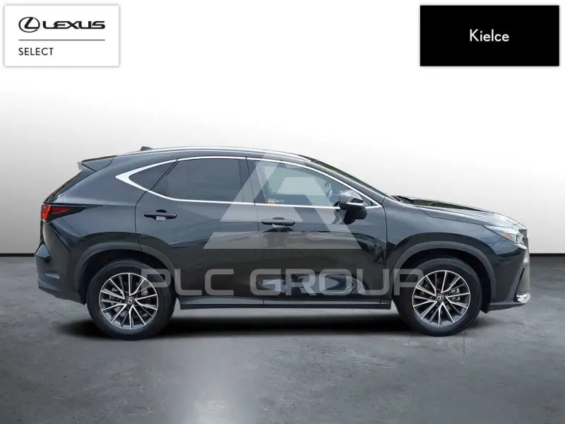 2024 Lexus NX