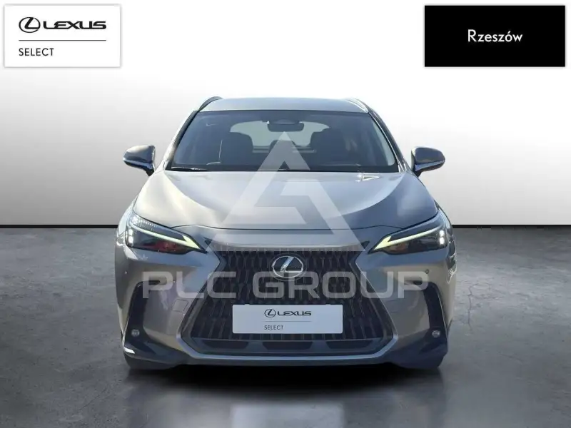 2024 Lexus NX