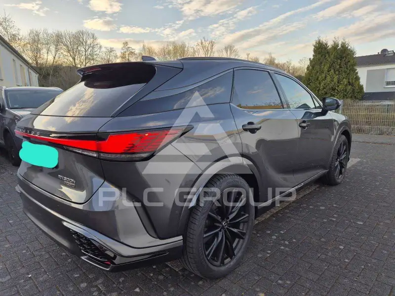 2024 Lexus RX
