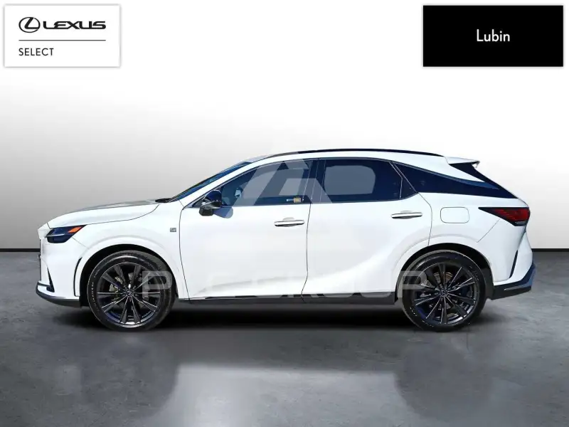 2024 Lexus RX