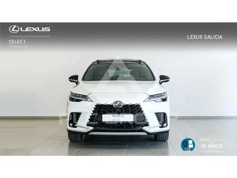 2024 Lexus RX