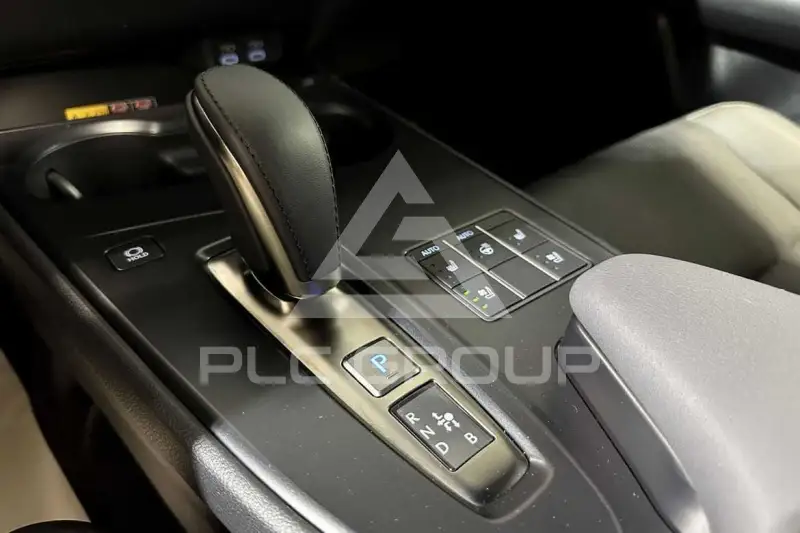 2024 Lexus UX