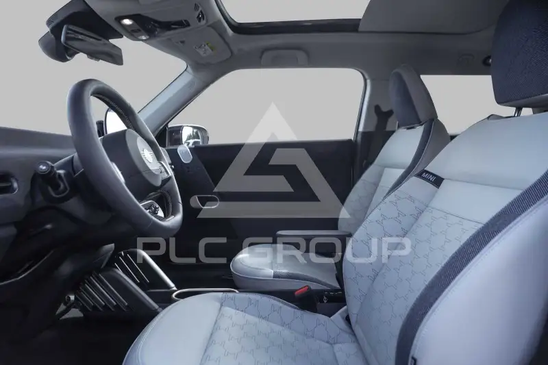 2024 Mini 