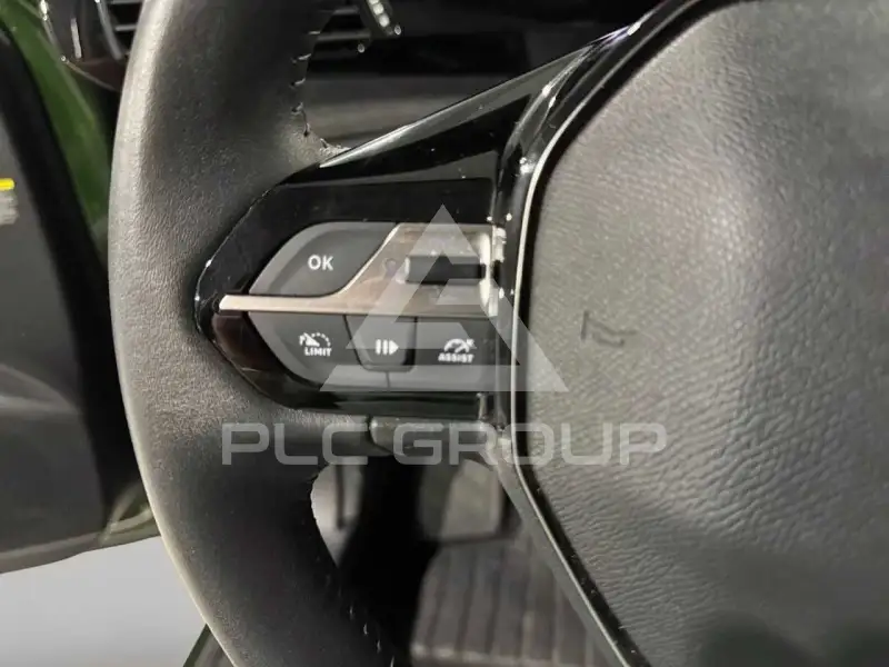 2024 Peugeot 308