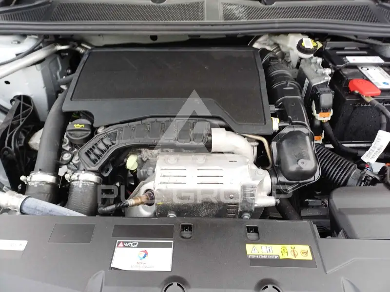 2024 Peugeot 308