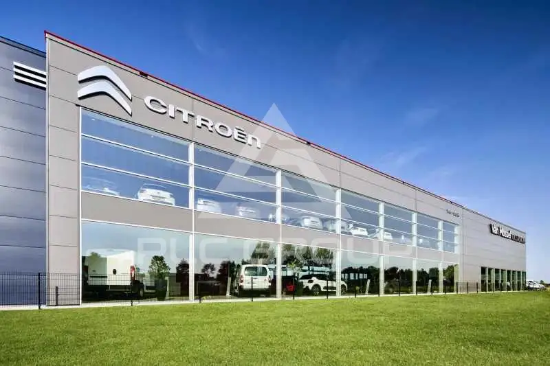 2024 Citroen C4