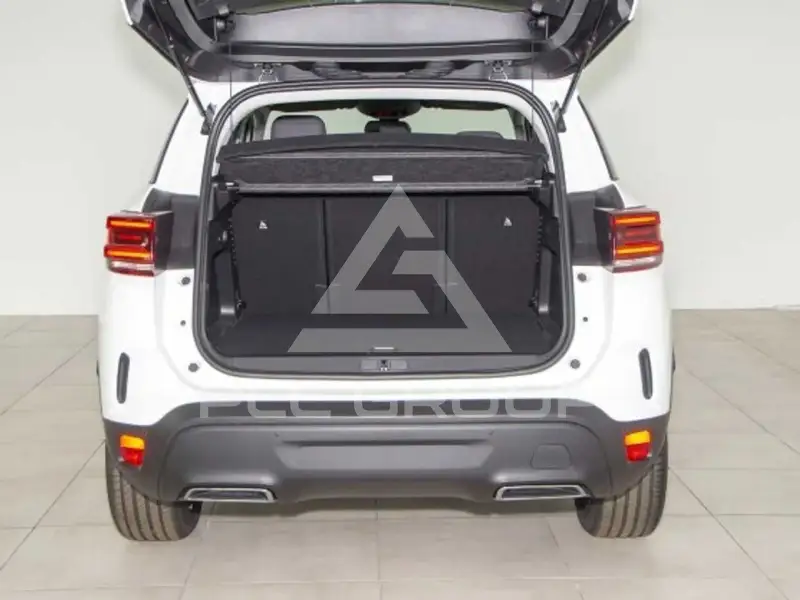 2024 Citroen C5
