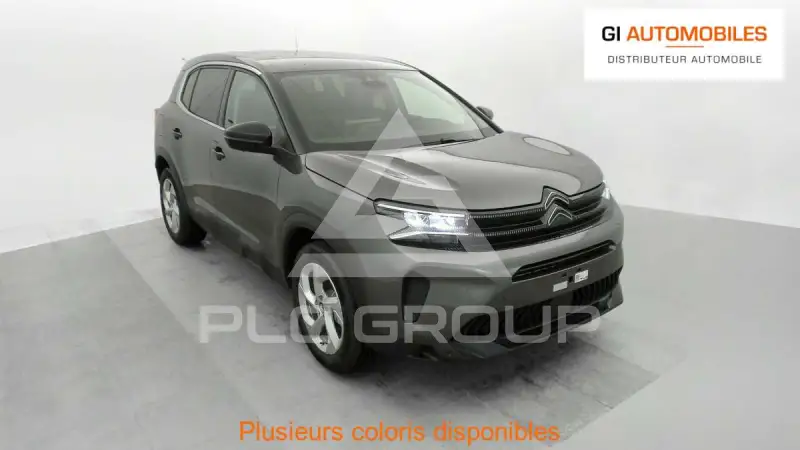 2024 Citroen C5
