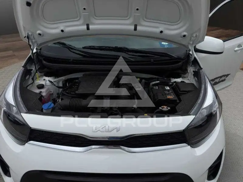 2024 KIA Picanto