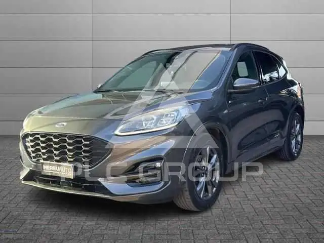 2024 Ford Kuga