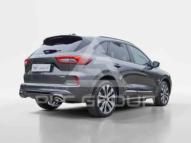 2024 Ford Kuga