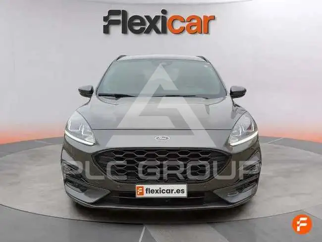 2024 Ford Kuga