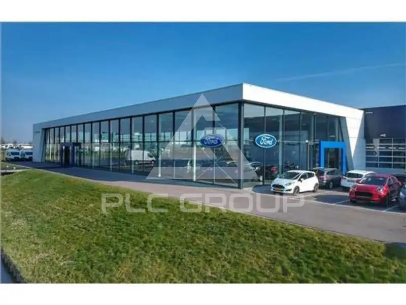2024 Ford Kuga