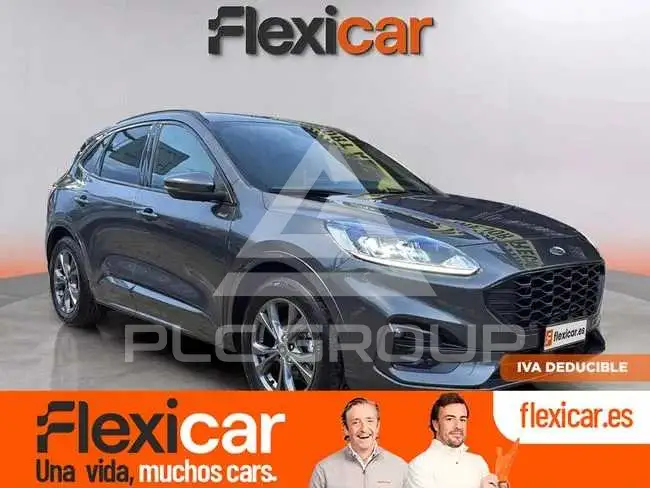 2024 Ford Kuga