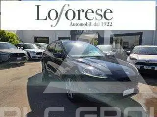 2024 Ford Kuga
