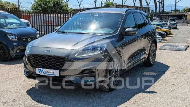 2024 Ford Kuga