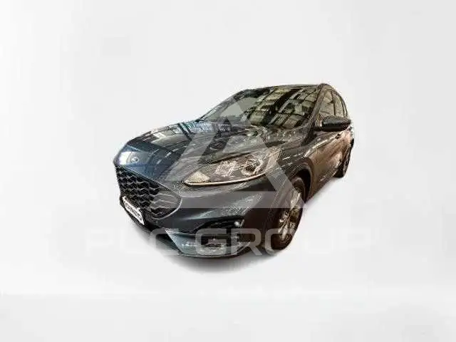 2024 Ford Kuga