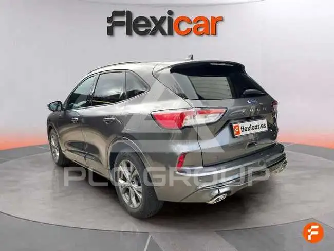 2024 Ford Kuga