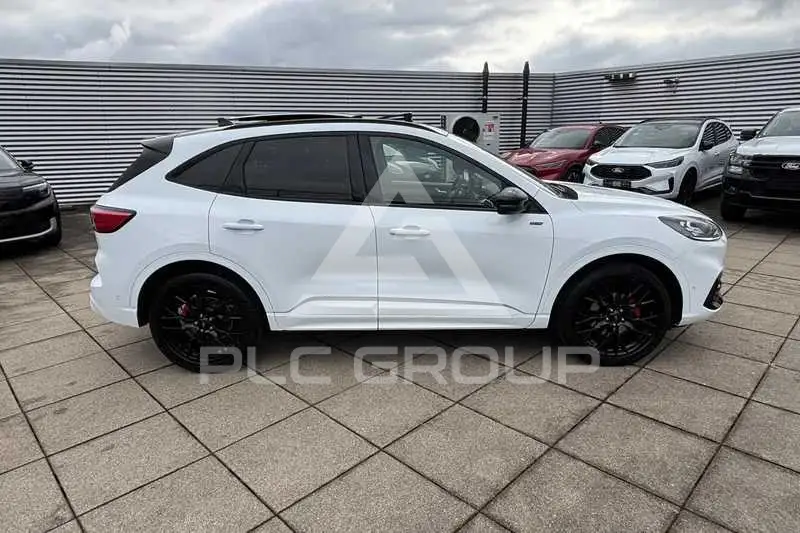 2024 Ford Kuga