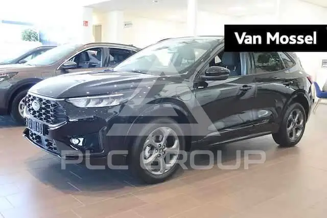 2024 Ford Kuga
