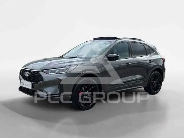 2024 Ford Kuga