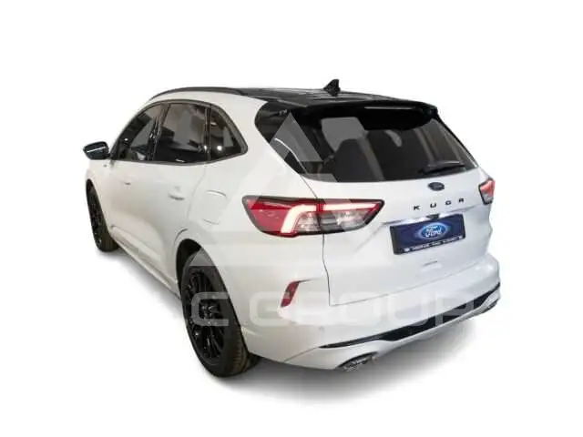 2024 Ford Kuga