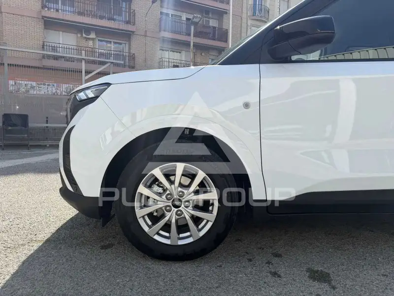 2024 Ford Tourneo