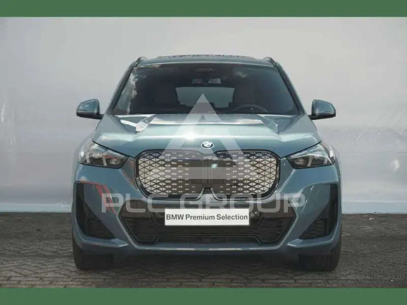 2025 BMW iX