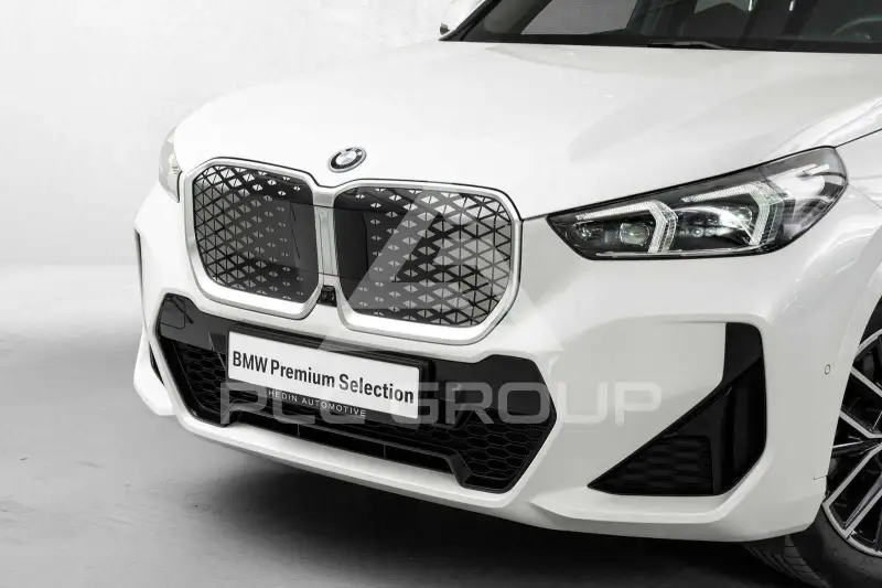2025 BMW iX