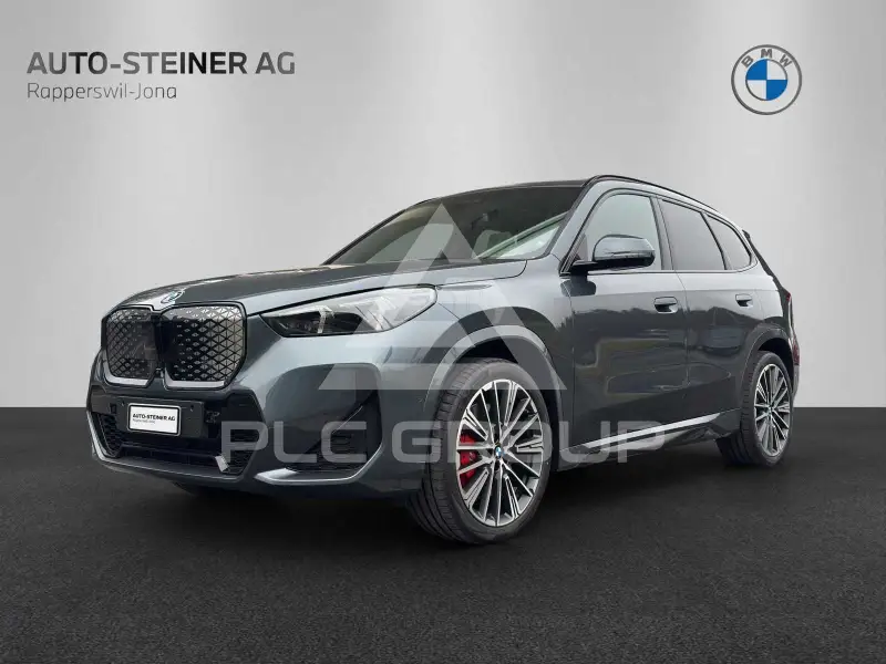 2025 BMW iX