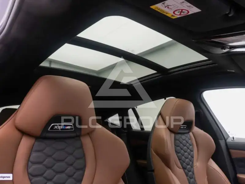 2025 BMW X6