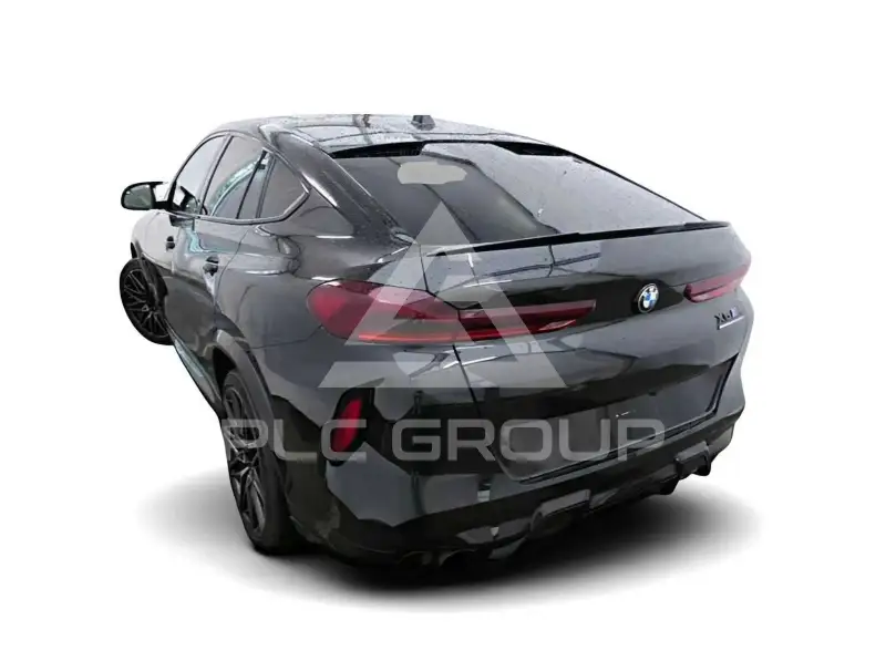 2025 BMW X6