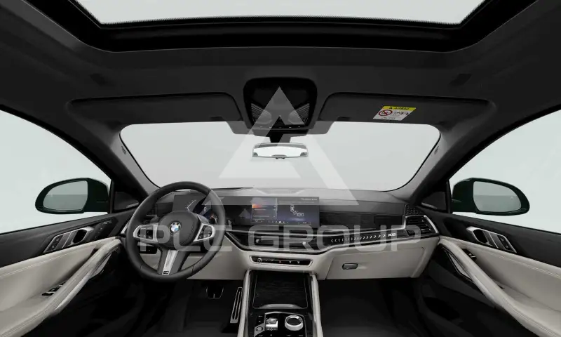 2025 BMW X6