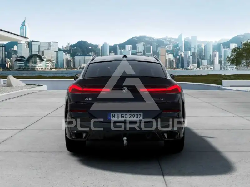 2025 BMW X6