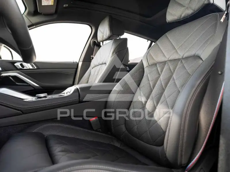 2025 BMW X6