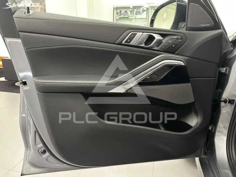 2025 BMW X6