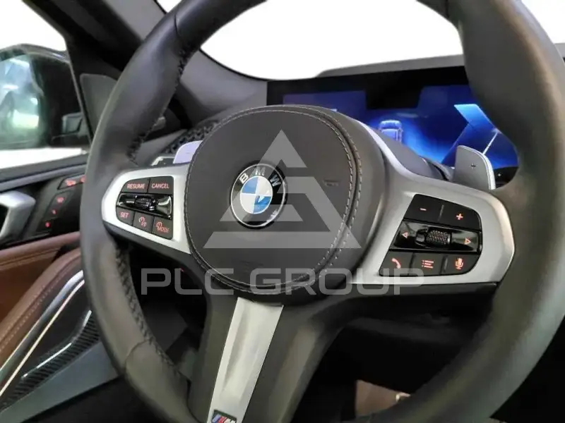 2025 BMW X6