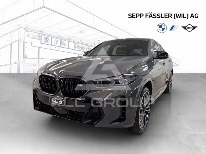 2025 BMW X6