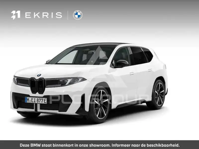 2025 BMW iX