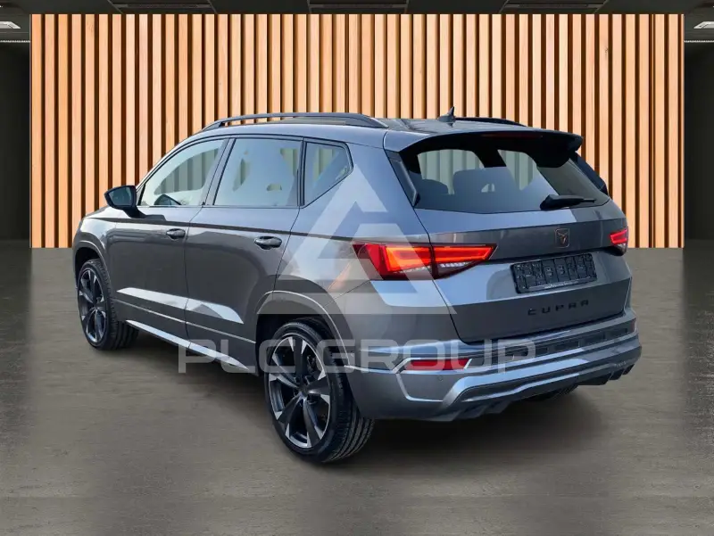 2025 Cupra Other