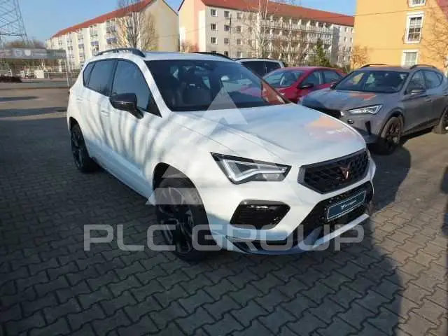 2025 Cupra Other