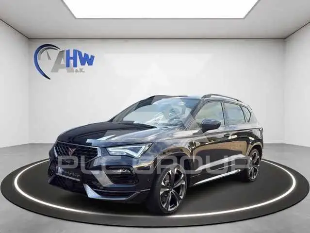 2025 Cupra Other