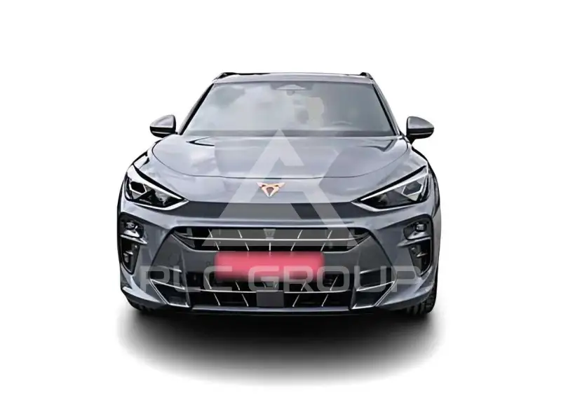 2025 Cupra Other