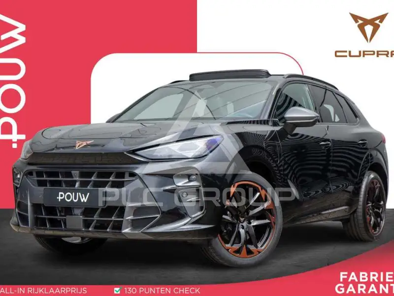 2025 Cupra Other